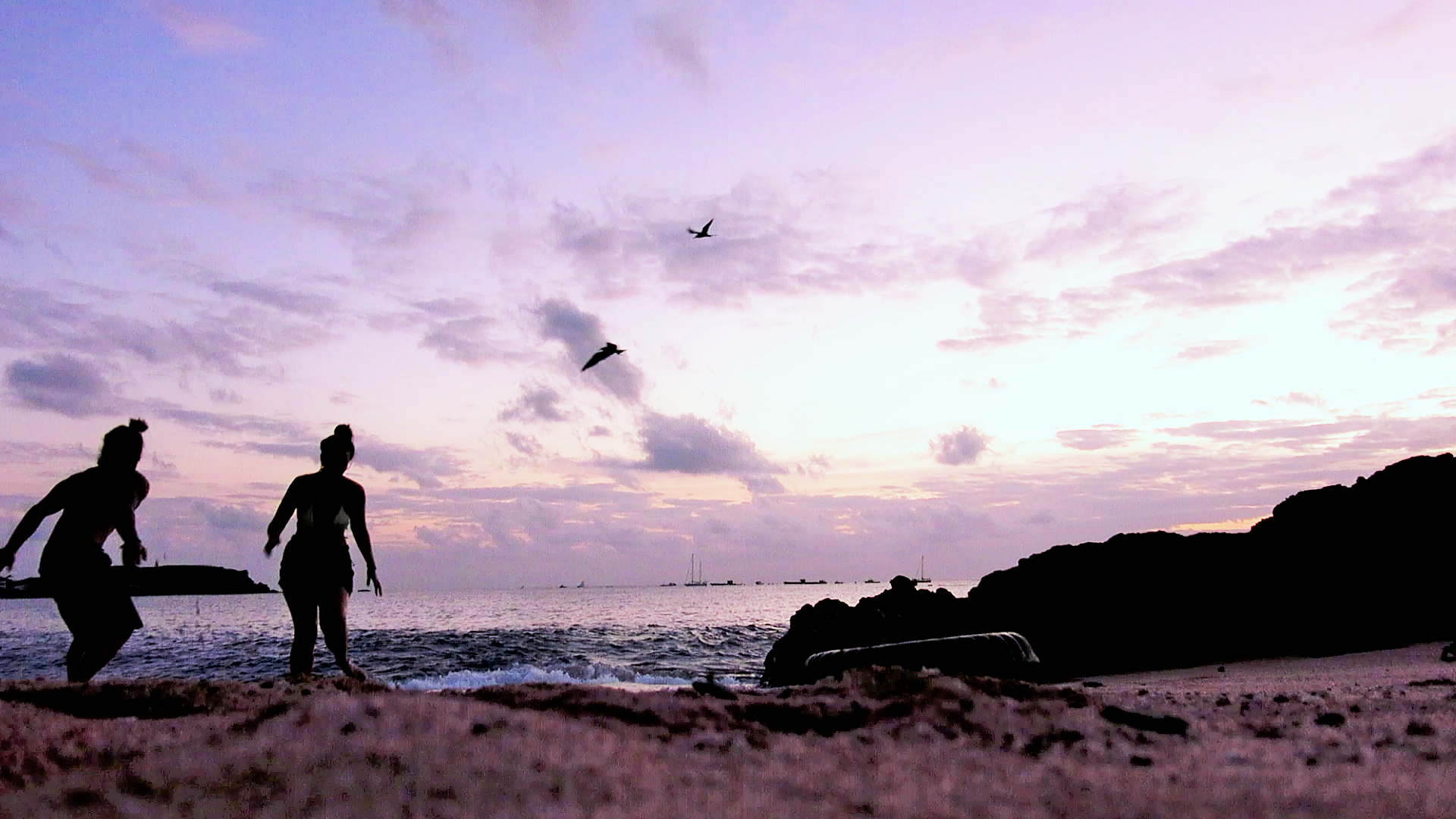 The Delos Diaries: Part 22 “Sunsets, Rum and Baby Turtles.”