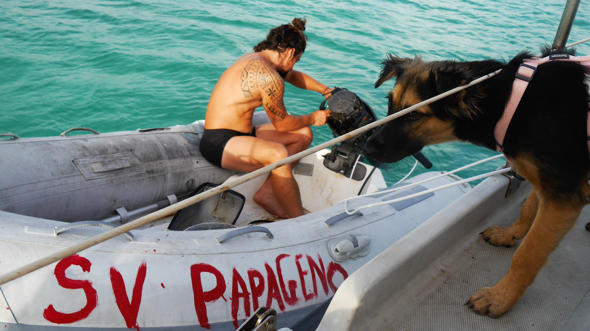 The Papageno Diaries: Episode 7 “Papageno gets a Puppy!”