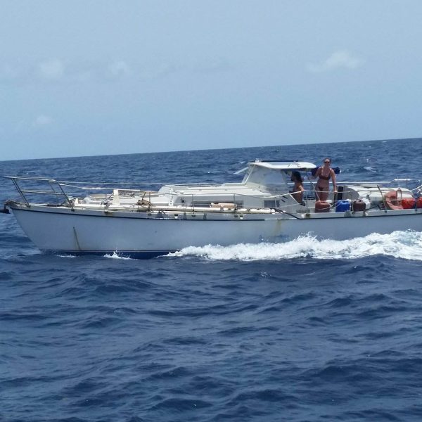 Papageno is open for CREW!